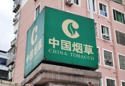 新疆煙草局校招開啟 擴招名額，高中起點，專業(yè)不限，軟件開發(fā)崗位吸引貴州學子