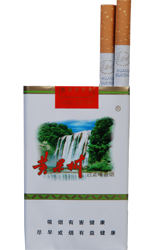 黃果樹香煙與貴州軟件開(kāi)發(fā)的特色發(fā)展路徑